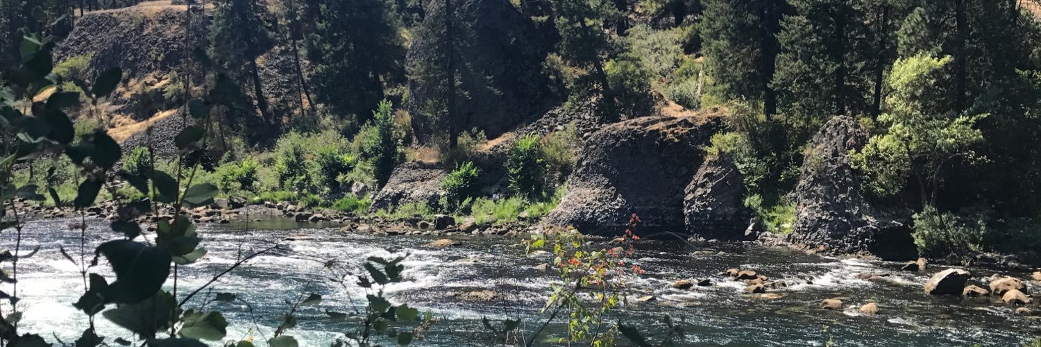 Aimee Challender banner