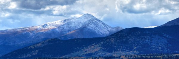 DalyFocus Profile Banner