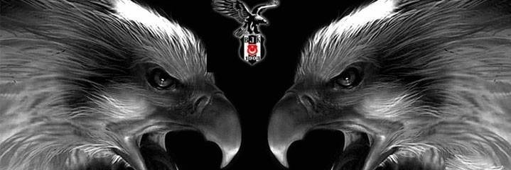 MeriCaparoglu's profile banner image
