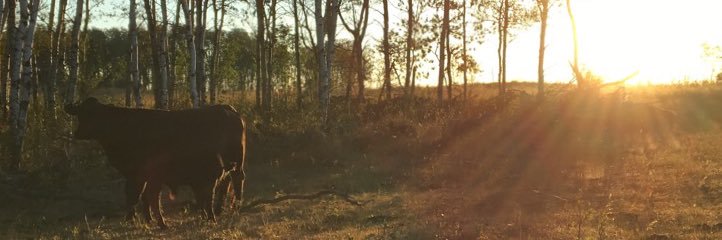HollyThompson8's profile banner image
