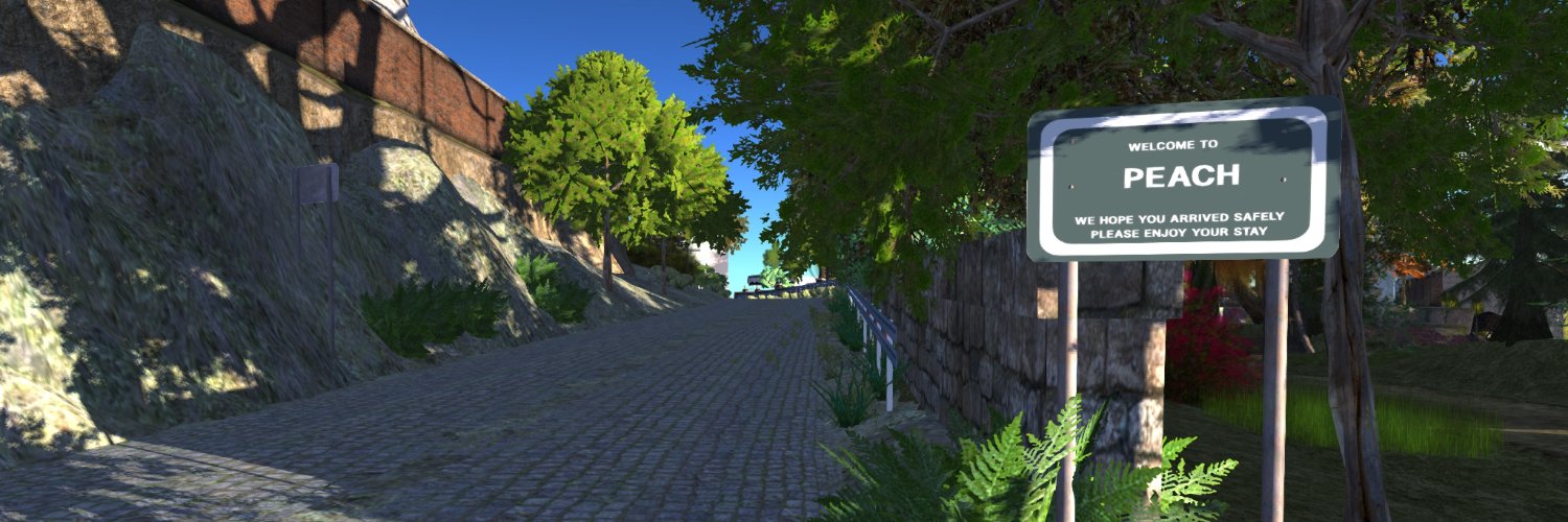 Rocky Constantine banner