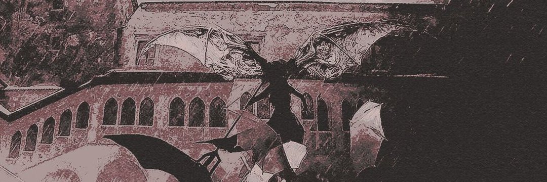 ᅟᅟ✧ᅟ ᅟ's banner