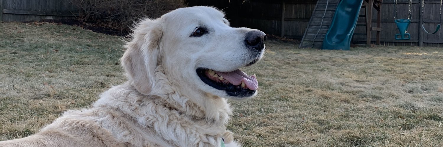 Lauren Boutwell banner