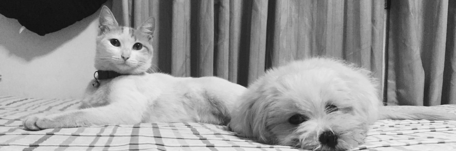 karinaguiller's profile banner image