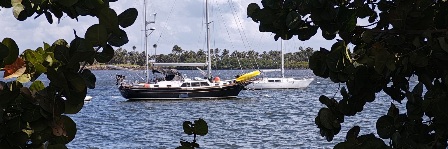 Joe Donzelli, APR, APIO banner