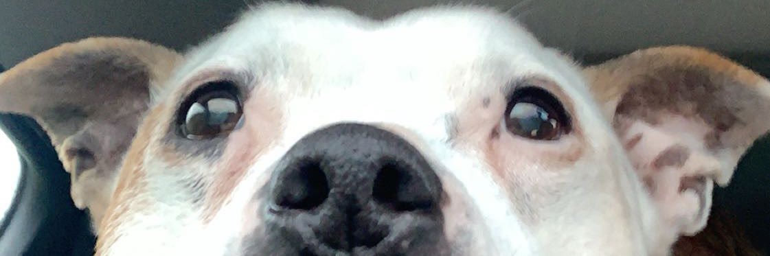 joelgrindey's profile banner image
