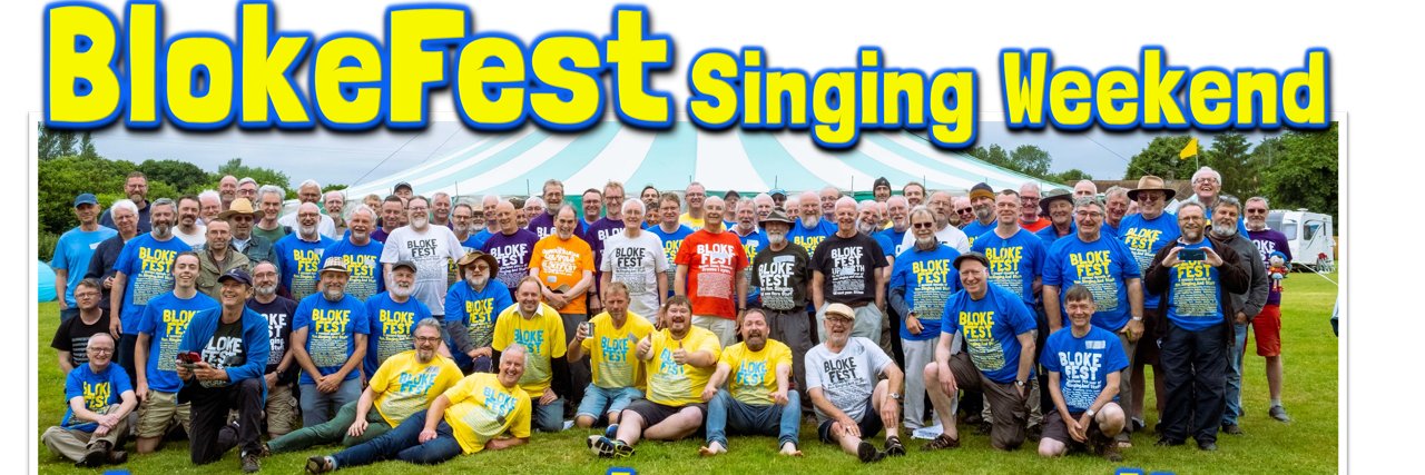 BlokeFest's profile banner image