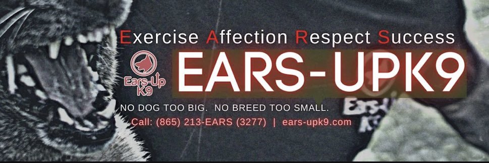 EARSUPK9's profile banner image