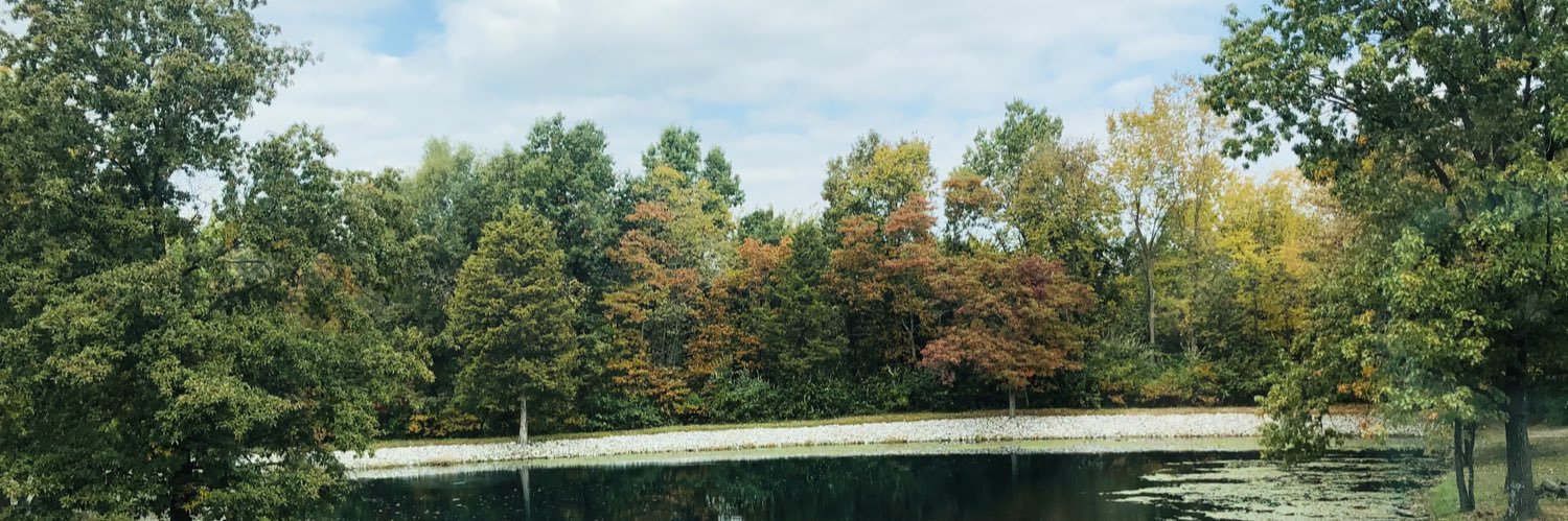 jrabfrig's profile banner image