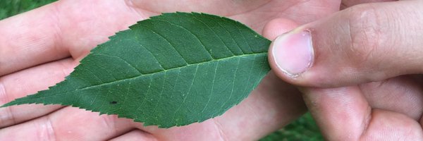 Neilluck Profile Banner