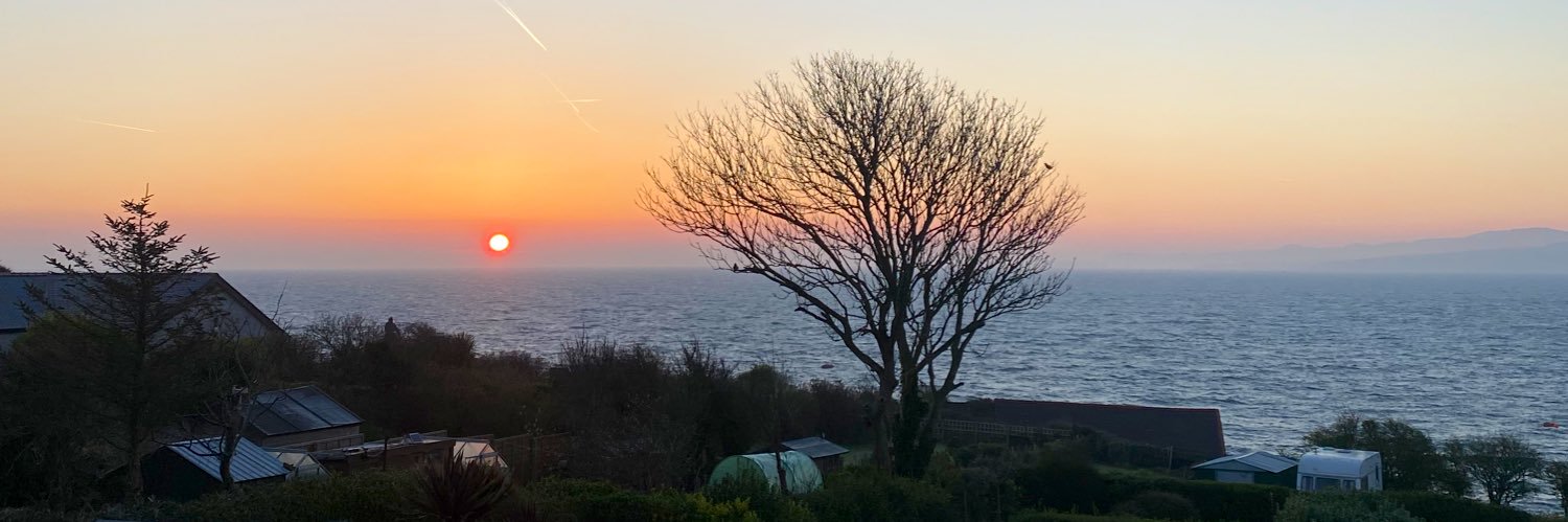 Jasmine Roebuck banner