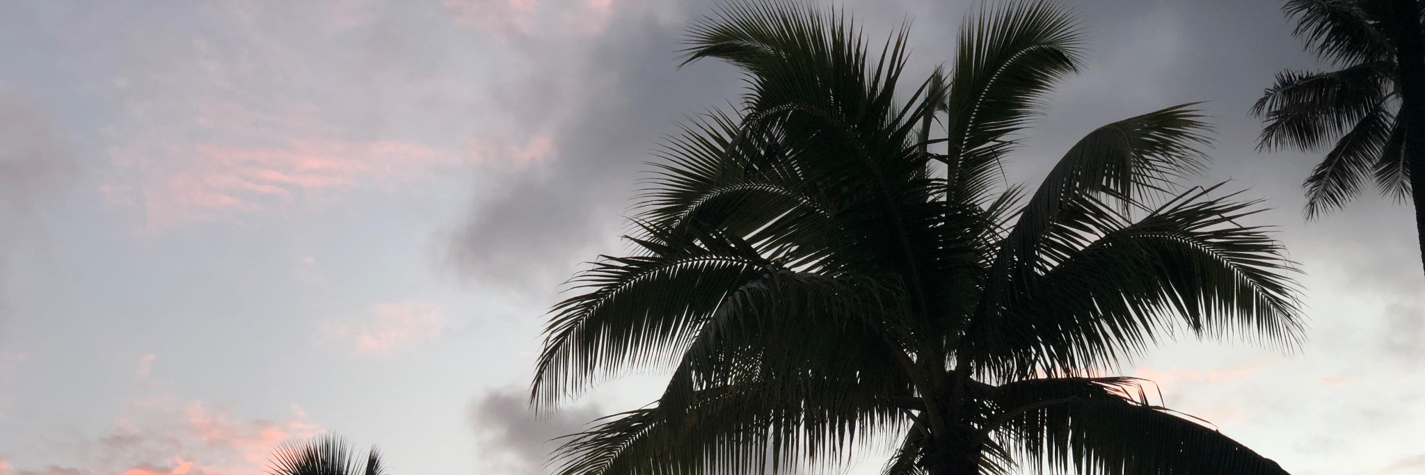 csmcgrath's profile banner image