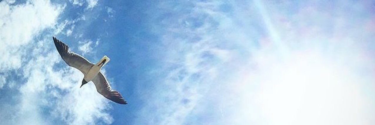 DeborahAnn70's profile banner image