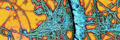 Boris Pevzner banner