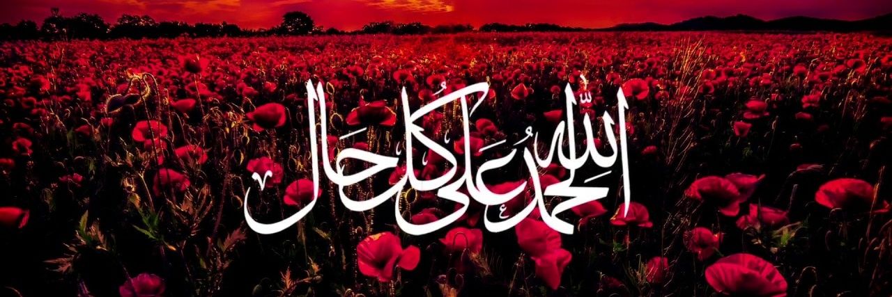 algwaely's profile banner image