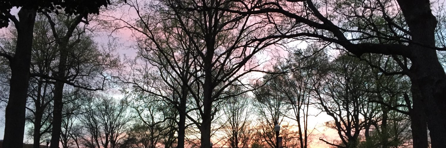 lanebrown33's profile banner image