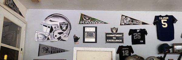 calamaris21 Profile Banner