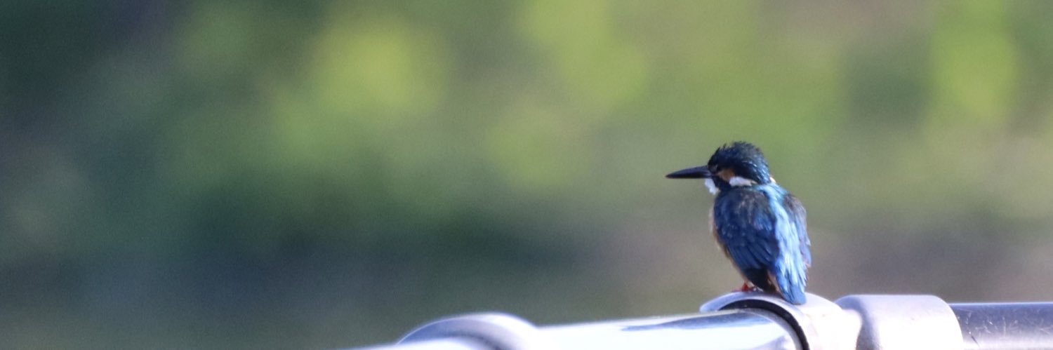Tak_O's profile banner image