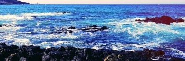 ayys0411 Profile Banner