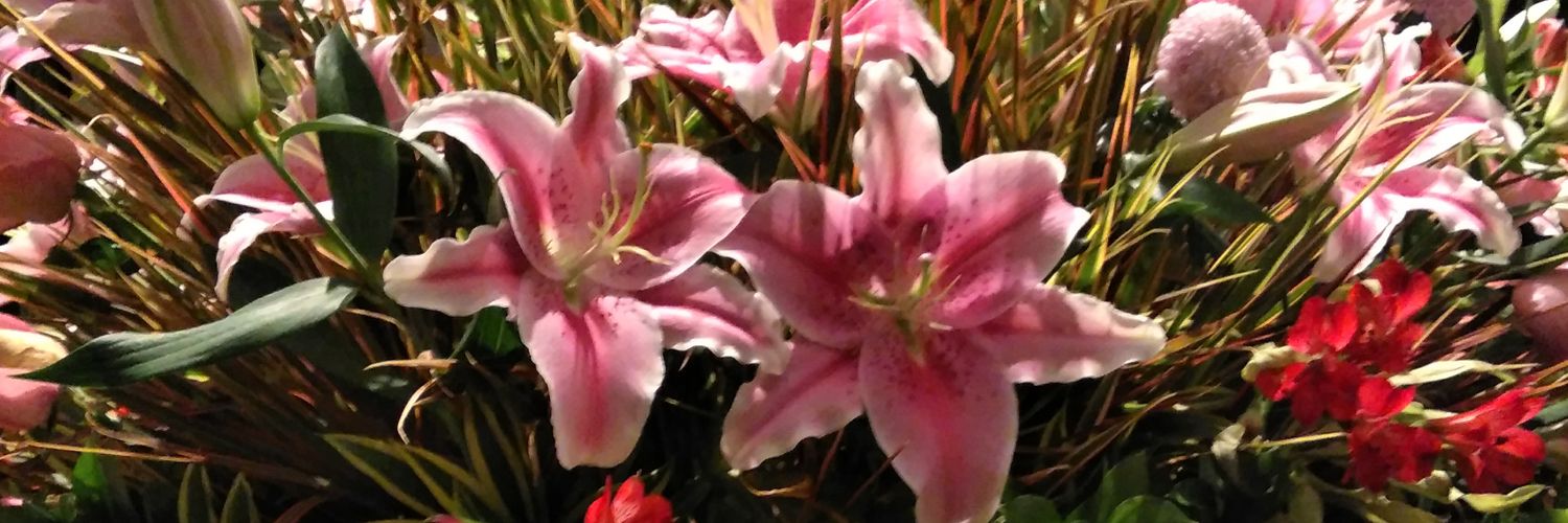 CallMeAletta's profile banner image