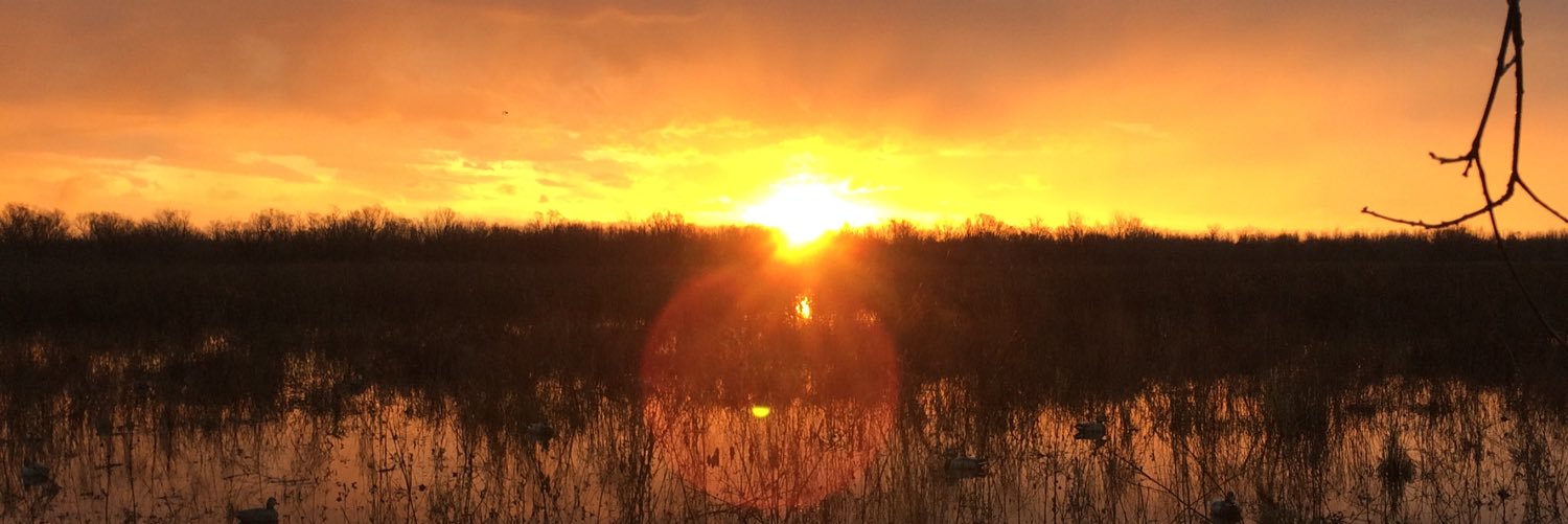 THEchasesanders's profile banner image