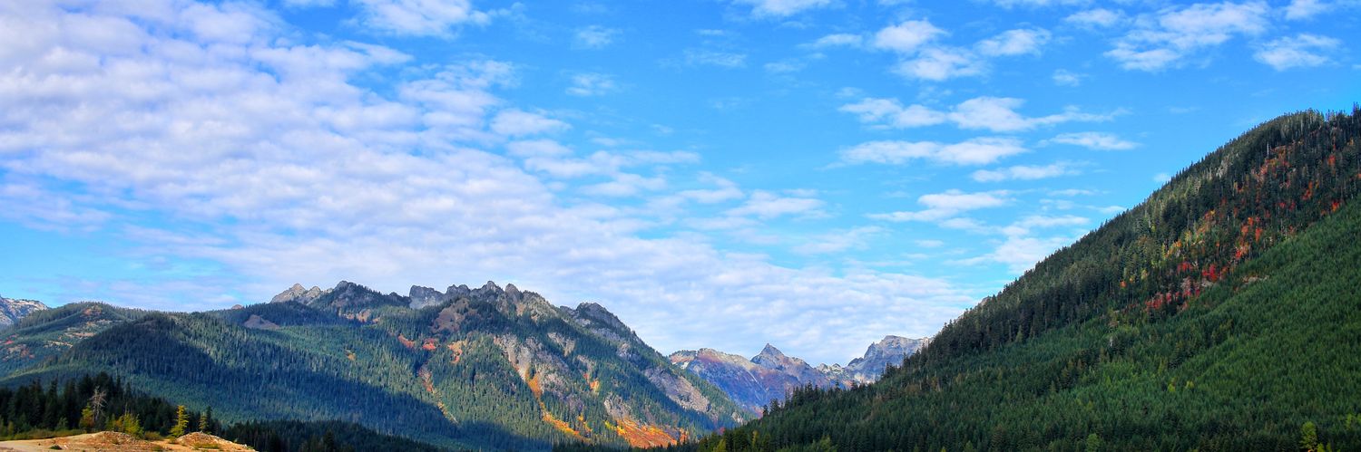 Progya Chakma, PhD banner