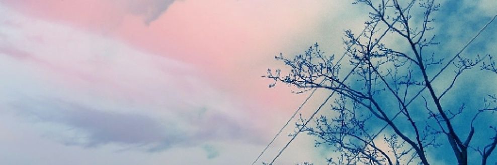ChipsterChavez's profile banner image
