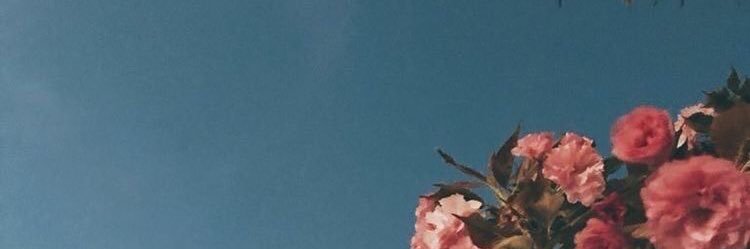 RickyVillo89's profile banner image