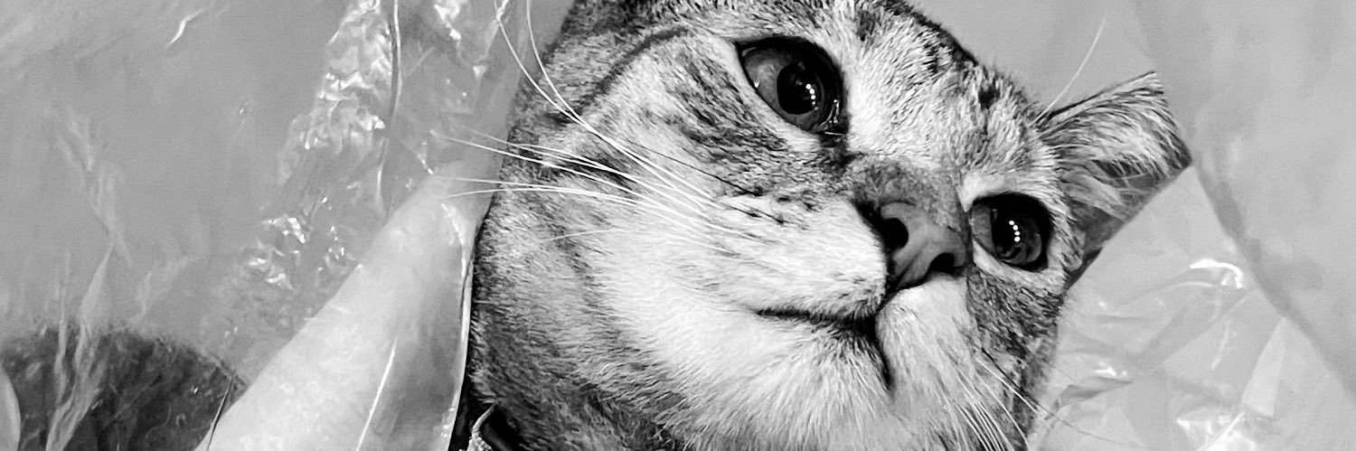 Orianabl's profile banner image