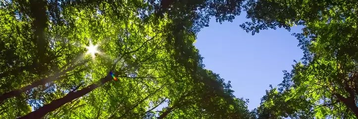 beccamacdonnell's profile banner image