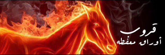 w76___3's profile banner image