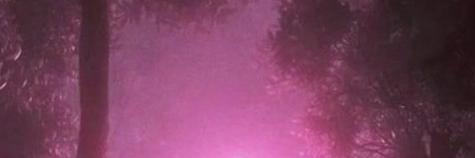 freeMedusa's profile banner image