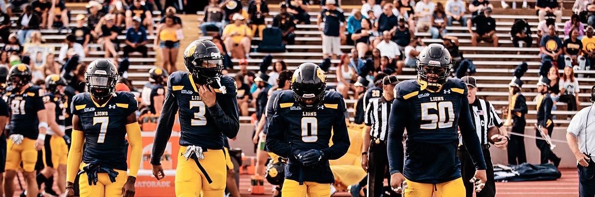 Levi Drake Rodriguez banner