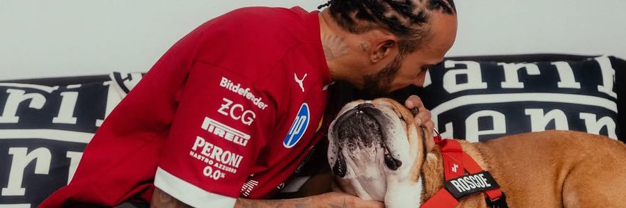 gabbsn's profile banner image