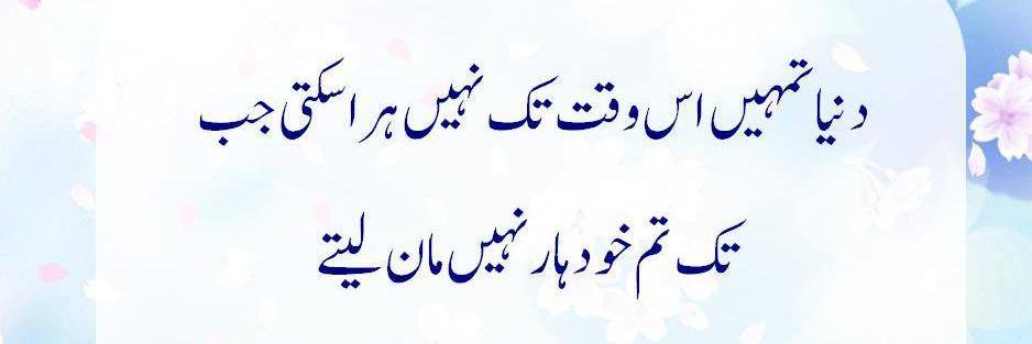 hamid_ali101's profile banner image