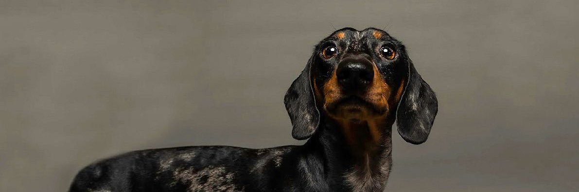 AnthonyiEdwards's profile banner image