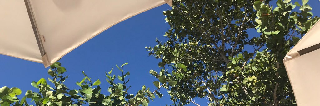 BGorbell's profile banner image