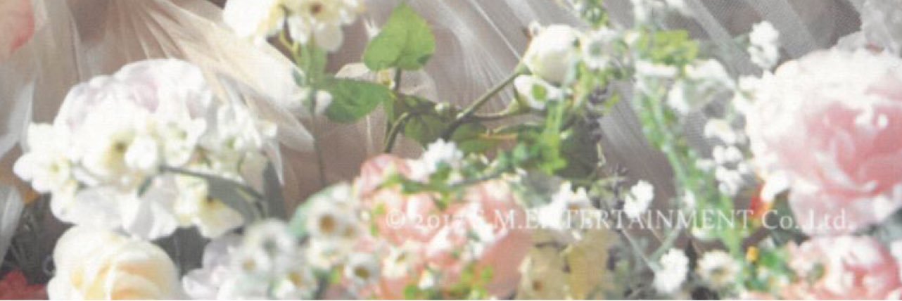 suljina's profile banner image