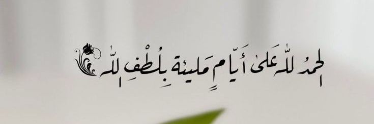 🐣𝓐𝓱𝓶𝓮𝓭🐣 banner