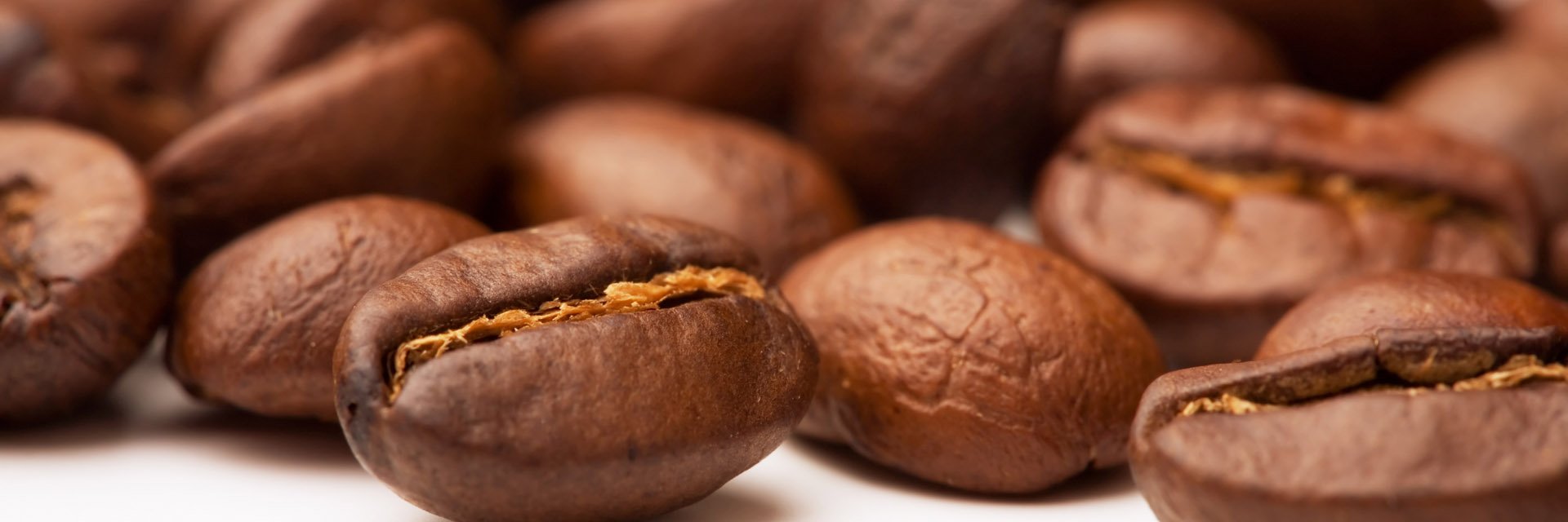 BerryCocoffee's profile banner image
