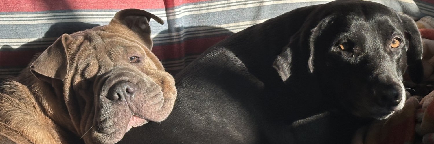 Hoss Porpoise 🐬 banner