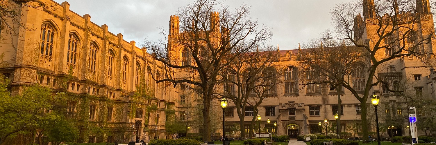 David T. Rubin, MD banner