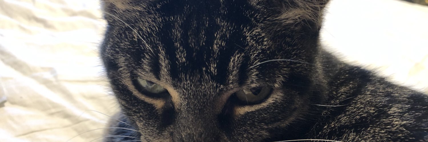 JERRY M. NESKER banner