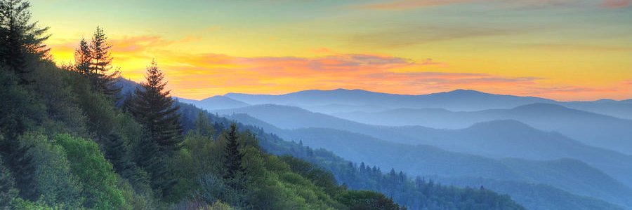 farragutmrg's profile banner image