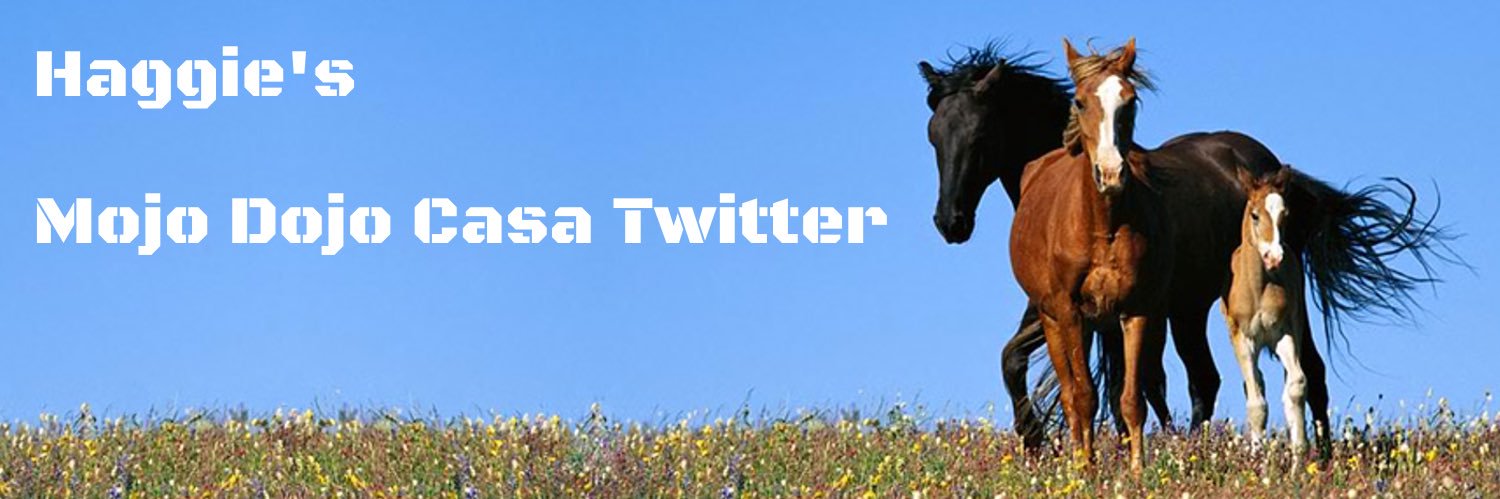 Haggie24's profile banner image