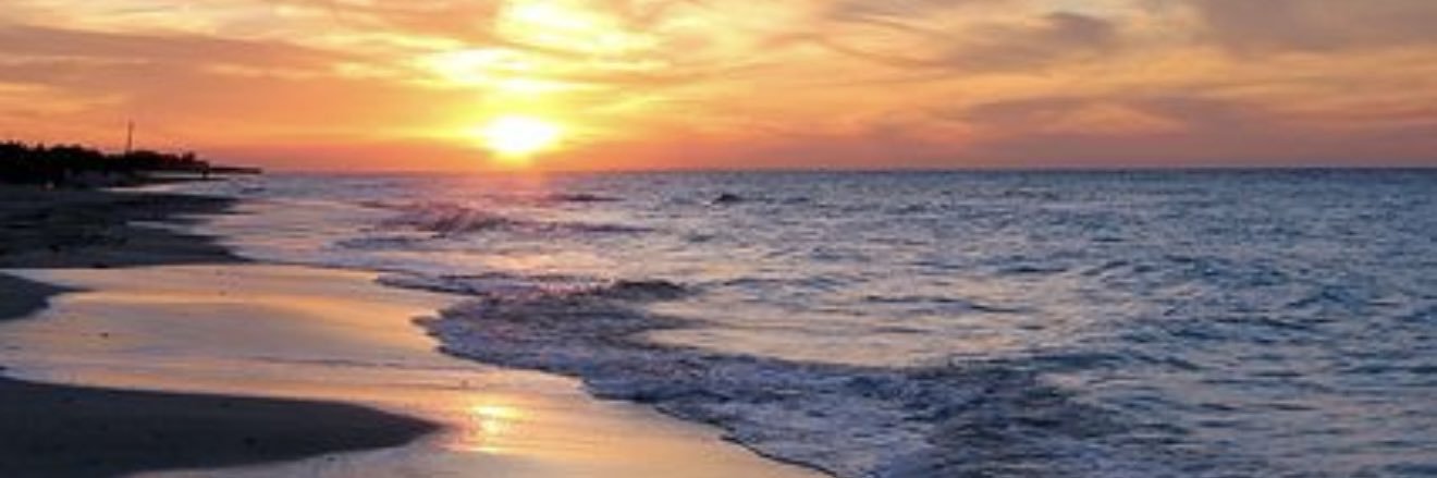 AB_1589's profile banner image