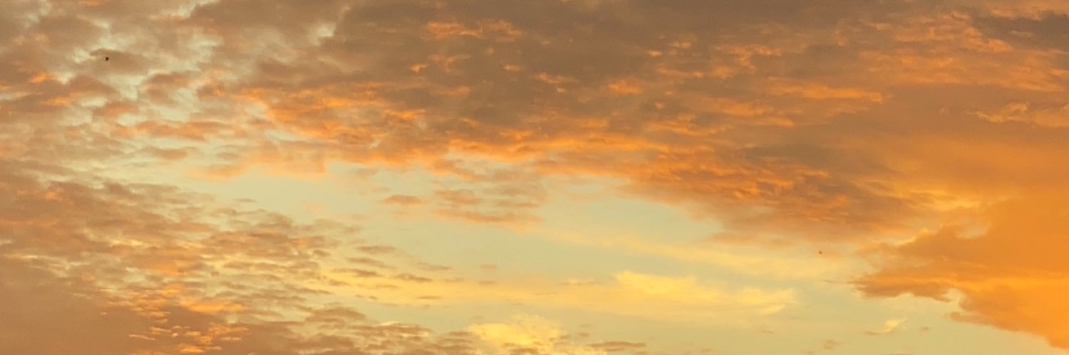 lizz_egb's profile banner image