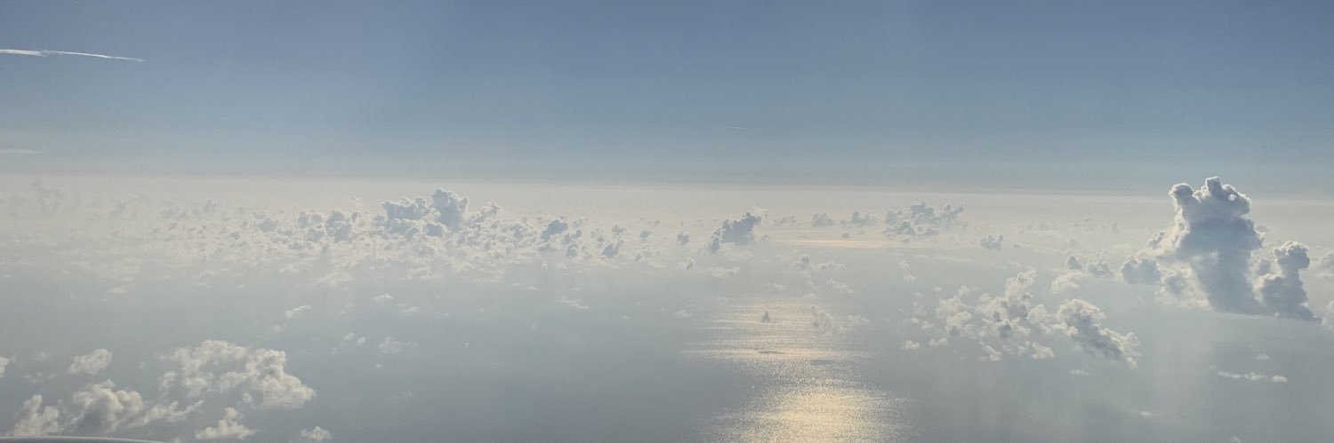 nerissajanetta's profile banner image