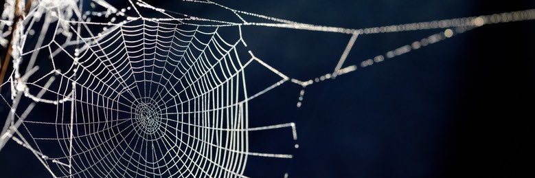 BrantulaTV's profile banner image