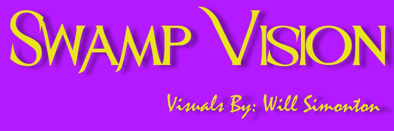 SwampWilly's profile banner image
